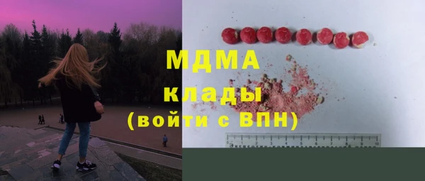 хмурый Бородино