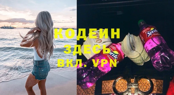 хмурый Бородино