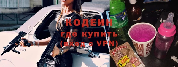 хмурый Бородино