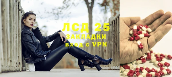 хмурый Бородино